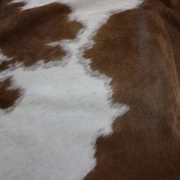 Cowhide Rug Brown and White C01009