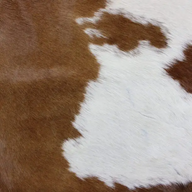 Cowhide Rug Brown and White C01009