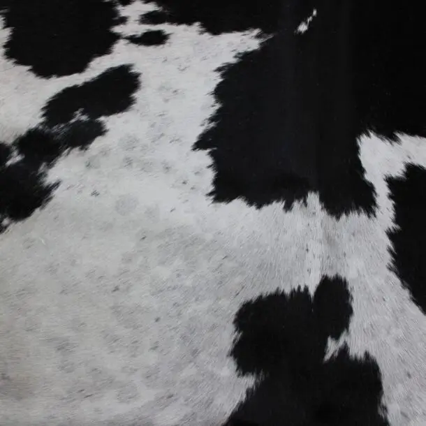 Cowhide Rug Black and White C01010