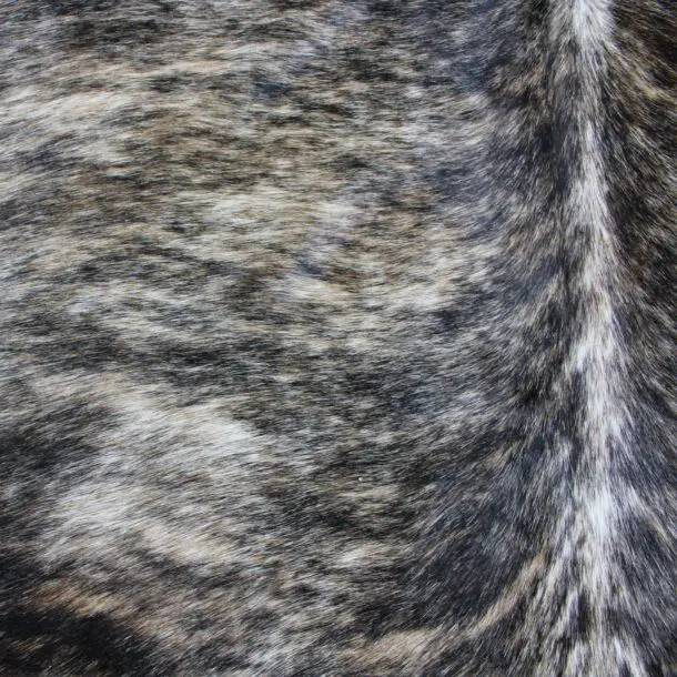 Cowhide Rug Exotic Beige C0011