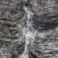 Close-up of a brindle cowhide rug with textured grey, beige and white hair.