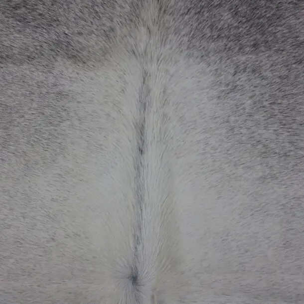 Cowhide Rug Grey C01012