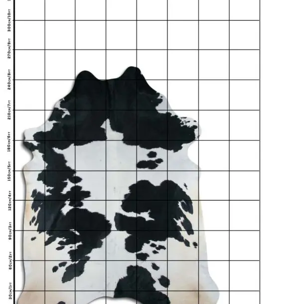 Cowhide Rug Black and White C01013