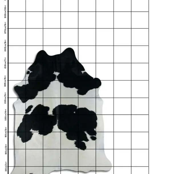 Cowhide Rug Black and White C01015