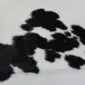 Close-up of a black and white cowhide rug showing natural hair texture and spotted pattern. detail view