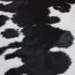 Close-up of a black and white cowhide rug showing natural hair texture and spotted pattern.