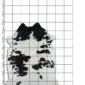 Natural shaped cowhide rug with black and white speckled markings on a measured grid background.