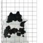 Cowhide Rug C01017 a (1) Natural cowhide rug with black patches on a white background, shown on a grid for scale.