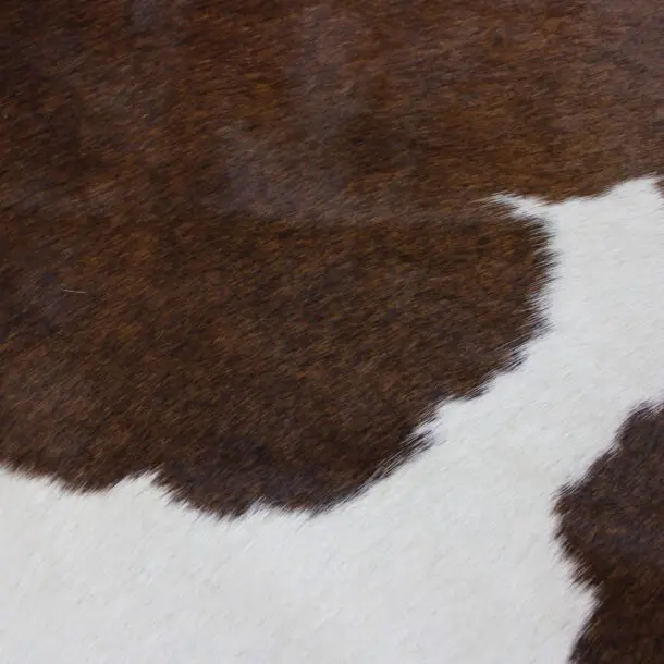 Cowhide Rug Brown and White C01022