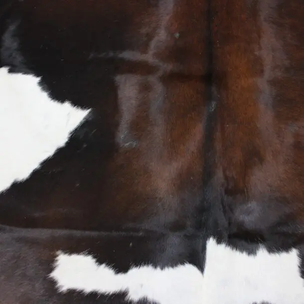 Cowhide Rug Exotic C01024