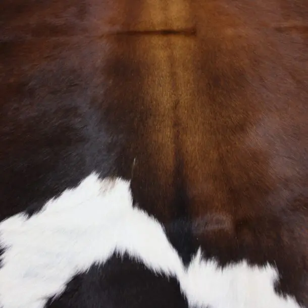 Cowhide Rug Exotic C01026