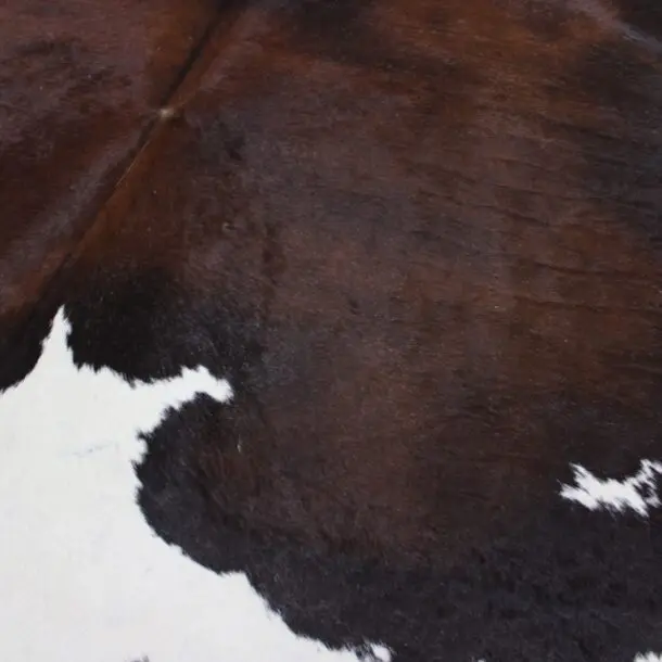 Cowhide Rug Exotic C01030