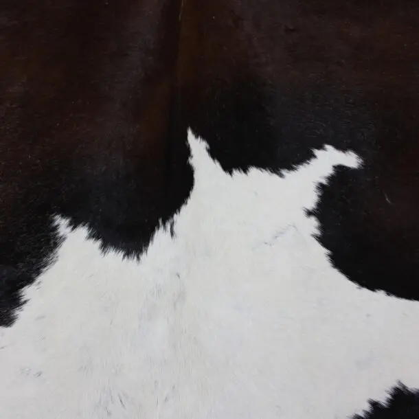 Cowhide Rug Exotic C01030