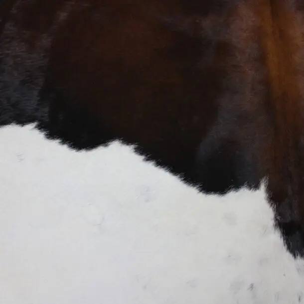 Cowhide Rug Exotic C01031