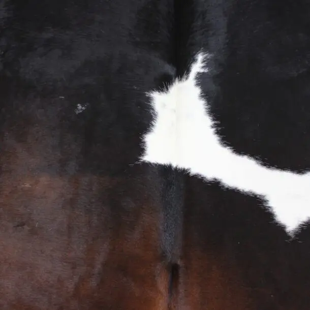 Cowhide Rug Exotic C01031