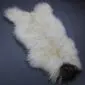 ICL-CurlyMix-lrg-13 (4) Natural white curly Icelandic sheepskin rug with a single dark brown spot at one end.