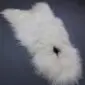 Off-white Icelandic sheepskin rug with long, shaggy wool and a natural hide shape.