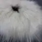 Close up of an off white Icelandic sheepskin rug with long, thick wool fibres.