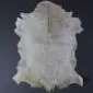 Goatskin Rug G1004 (2) Natural goatskin rug with cream and light brown mottled markings and an irregular organic shape.