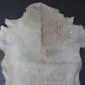 Goatskin Rug G1004 (3) Natural goatskin rug with cream and light brown mottled fur and an irregular organic shape.
