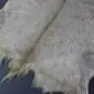 Natural goatskin rug with cream and grey speckled fur and a dark brown dorsal stripe.