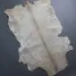 Natural goatskin rug with cream and grey mottled fur and a dark brown stripe down the centre.