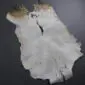 Natural goatskin rug with white and grey fur, featuring brown markings at the top and a dark central stripe.