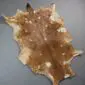 Natural goatskin rug with brown fur and white spots in an irregular hide shape.