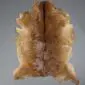 Goatskin Rug G1015 (2) Natural goatskin rug with tan and light brown fur featuring a dark brown stripe down the centre.
