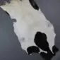 Goatskin Rug G1024 (8) Natural goatskin rug with cream fur and large black patches.