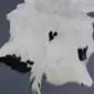 Natural goatskin rug with white fur and irregular black markings.