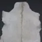 Natural white goatskin rug with a light brown dorsal stripe and irregular edges .