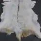 Natural white goatskin rug with a dark brown dorsal stripe and tan markings along the edges.