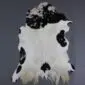 Natural goatskin rug with white fur and large black spots, featuring an irregular organic shape.