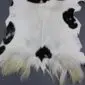Natural goatskin rug with white fur and large black spots, featuring long hair at the bottom edge.