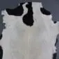 Natural goatskin rug with a cream base and large black patches.