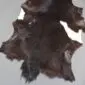 Goatskin Rug G1042 (1) Natural goatskin rug with dark brown and black fur, featuring an irregular organic shape.