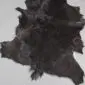Goatskin Rug G1045 (1) Natural goatskin rug with long, textured black fur and an irregular organic shape.