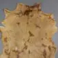 Natural goatskin rug with tan and brown mottled markings and an irregular organic shape.
