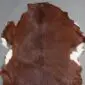 Goatskin Rug G1058 (3) Natural goatskin rug with dark brown fur and white patches on the edges.