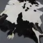 Natural goatskin rug with a speckled black and white pattern and irregular edges. detail view