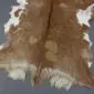 Natural goatskin rug with tan and white patches and a dark brown dorsal stripe. detail view