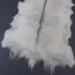 Goatskin Rug G1068 (1) Natural white goatskin rug with long, shaggy hair and a dark grey dorsal stripe.