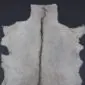 Goatskin Rug G1068 (3) Natural grey goatskin rug with a dark brown dorsal stripe and irregular edges.