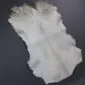 Goatskin Rug G1070 (4) Natural white goatskin rug with short, textured hair and an irregular organic shape.