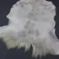 Natural goatskin rug with white and grey mottled fur and long, shaggy edges.