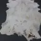 Natural goatskin rug in light grey and white with small dark brown markings and an irregular shape.