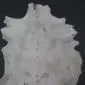 Natural goatskin rug with grey and white mottled fur and irregular edges.