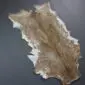 Goatskin Rug G1075 (4) Natural goatskin rug with mottled brown, tan, and white fur in an irregular hide shape.