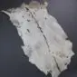 Goatskin Rug G1076 (4) Natural goatskin rug with white and grey fur featuring a dark brown dorsal stripe and speckled markings.